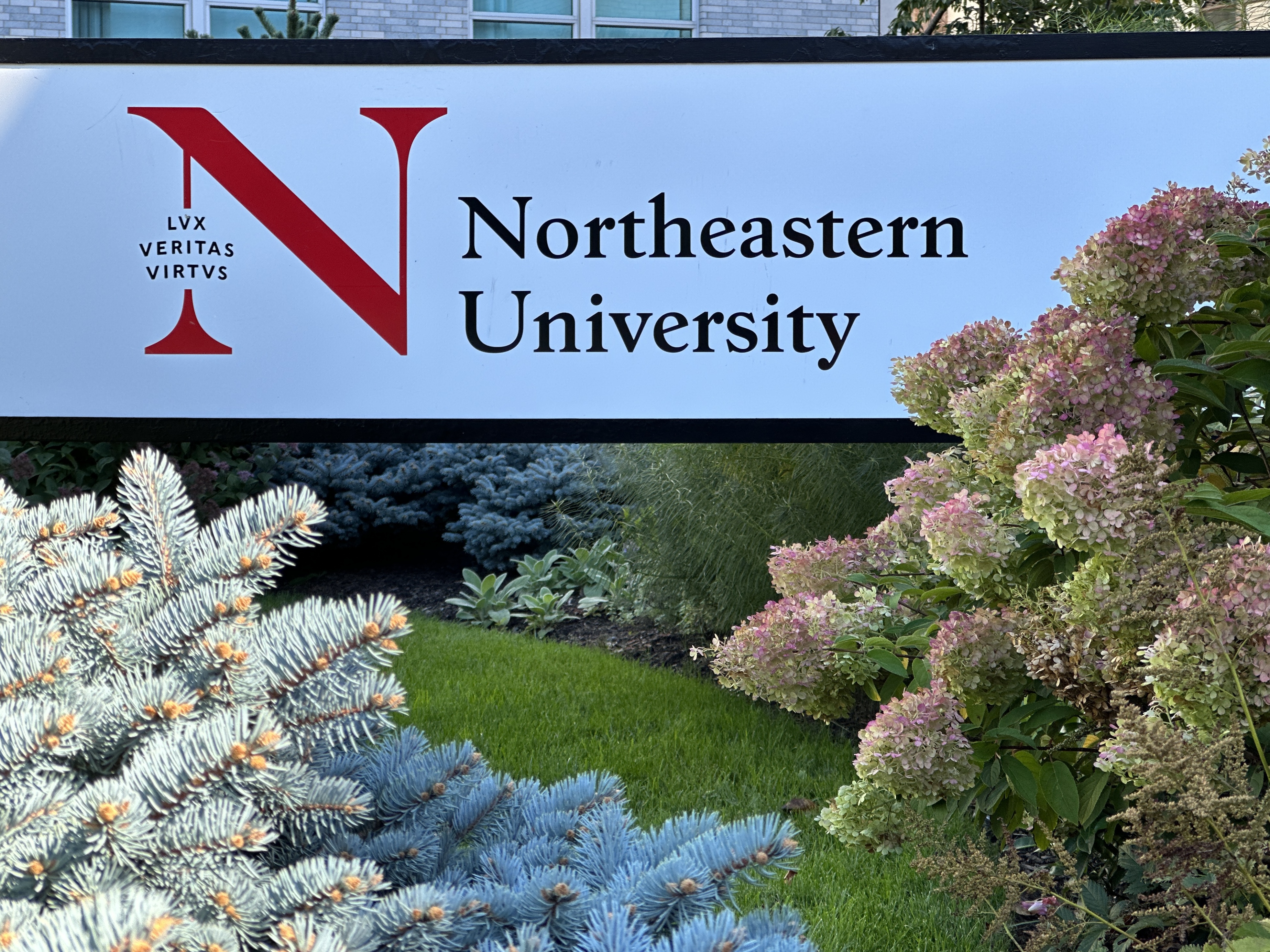 A sign on campus with surrounding flowers.